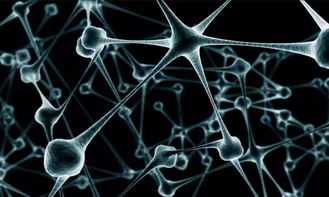 智能合約的核心執(zhí)行原理與人工智能基礎(chǔ)軟件開(kāi)發(fā)